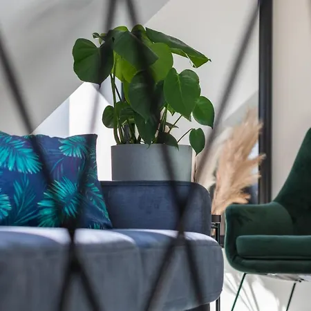 Silamar Zaciszna By Renters