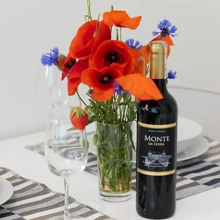 Silamar Zaciszna By Renters Appartement